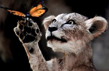 Аватар, аватар, аватар.... - ав.jpg