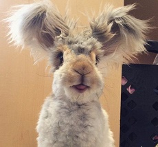 Аватар, аватар, аватар.... - ав2.jpg