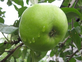 А ну-ка, разгадай  - -2.jpeg