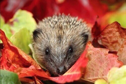 Аватар, аватар, аватар.... - 92rtYoKPsVs.jpg