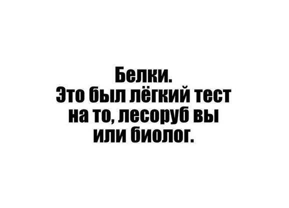 Тесты всяко разно - 12032200_630879510348480_7959625684943651769_n.jpg
