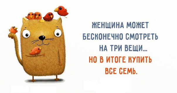 Женская логика - Zm4Sm63dcl8.jpg