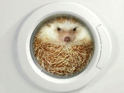 Посиделки - ejik_v_stirke[47824](400x300).jpeg