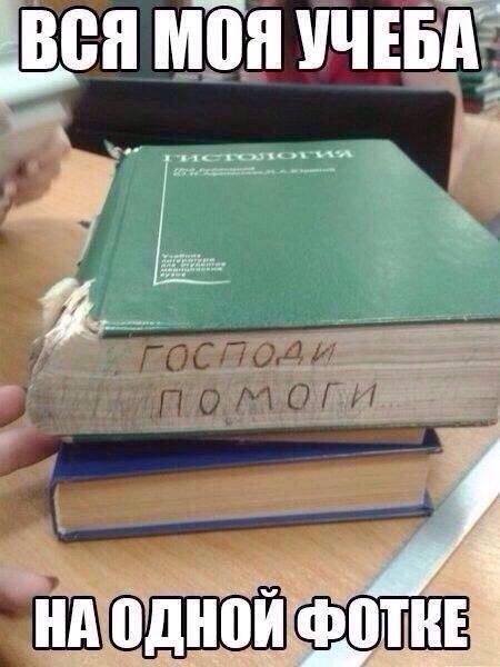 С улыбкой о многом =  - 12227204_547817698700321_7681495375120256081_n.jpg