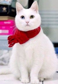 Аватар, аватар, аватар.... - DAaZfobT4Wk.jpg