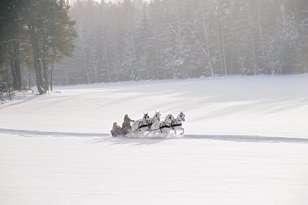 Новый 2016 год - image.jpg