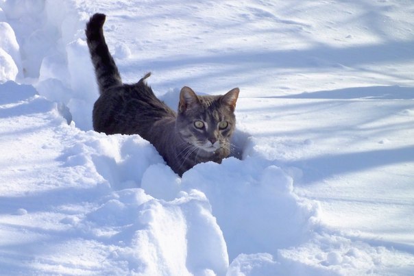 Каждая погода - благодать... - DqICr2yPn6Q.jpg