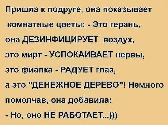 Женская логика - 12509842_10153863964289025_7863460456189908877_n.jpg