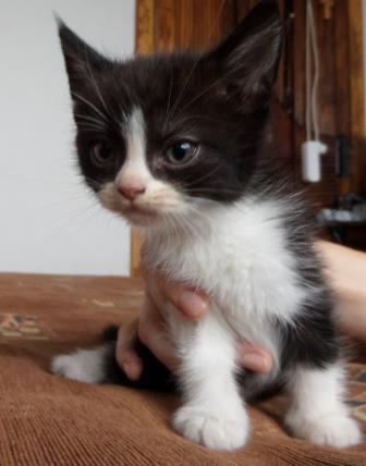 мы были вот такими - SAM_3096.JPG