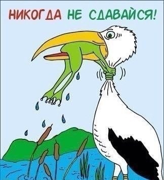 Женская логика - image.jpg