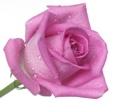 Каждая погода - благодать... - image.jpg