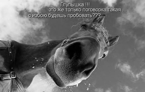 Женская логика - 12417553_10205685320157195_5206171939229120280_n.jpg