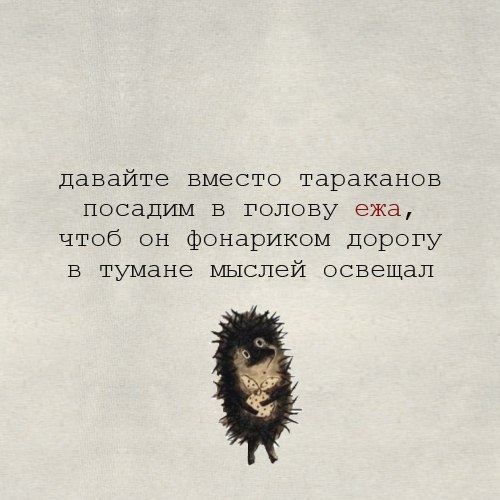 Женская логика - ErUWU45mHN4.jpg