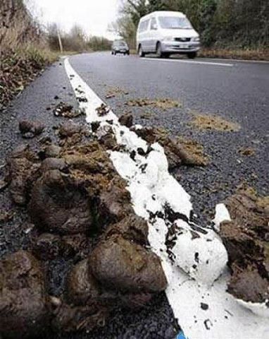 Угадай страну - image.jpg