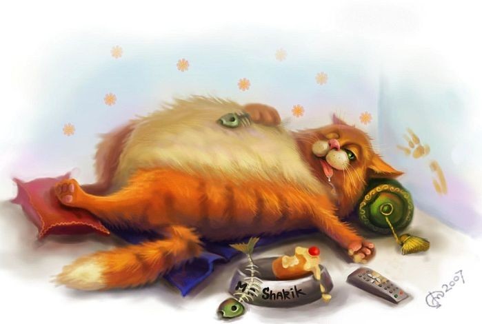 Кошки - очарование МОЁ - 248776_41569185_f_47d7f3.jpg