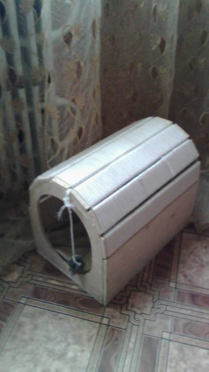 Кошки - очарование МОЁ - IMG_20160809_071644.jpg