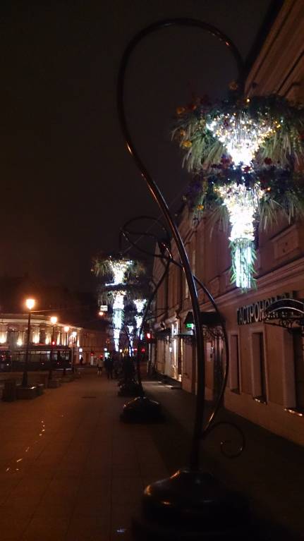 А давайте погуляем по Москве? - DSC_2689.JPG