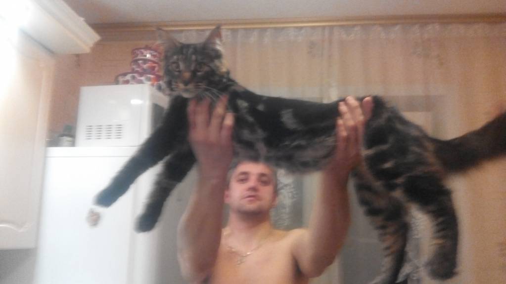 Рога и копыта, весёлая ЗоОфЛуДиЛьНя - IMG_20160602_223830.jpg