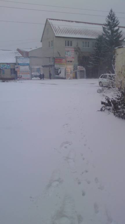 Каждая погода - благодать... - IMG_20161103_072923.jpg