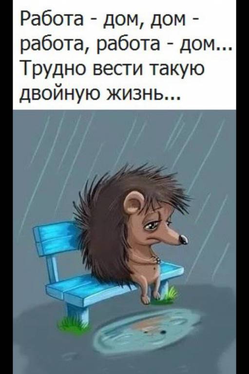 Аватар, аватар, аватар.... - LSiOc4PB_F8.jpg