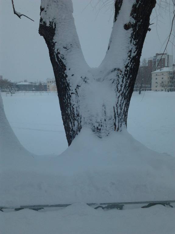 Каждая погода - благодать... - Фото5303.jpg