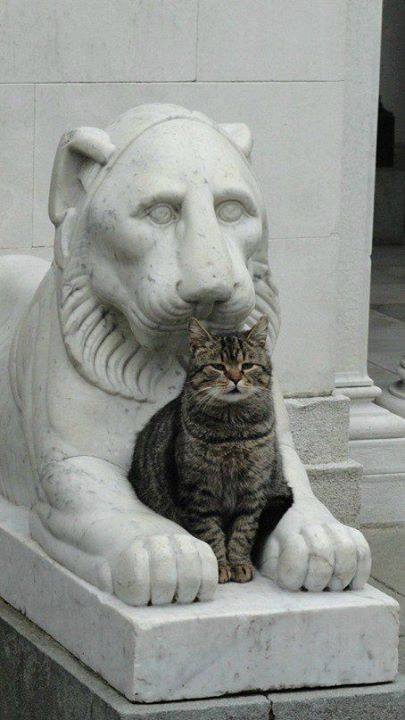 Они такие забавные смешные фото и видео  - r.jpg