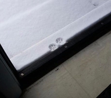 Каждая погода - благодать... - vcA5dJY0O2E.jpg