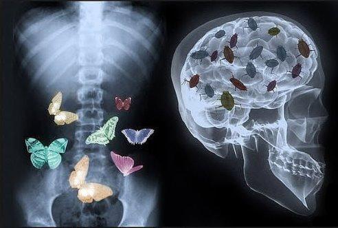 Женская логика - женщина на рентгене.jpg