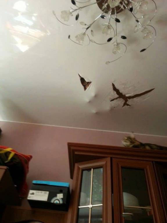 Они такие забавные смешные фото и видео  - 17021491_1280146568735085_6060597321611769167_n.jpg