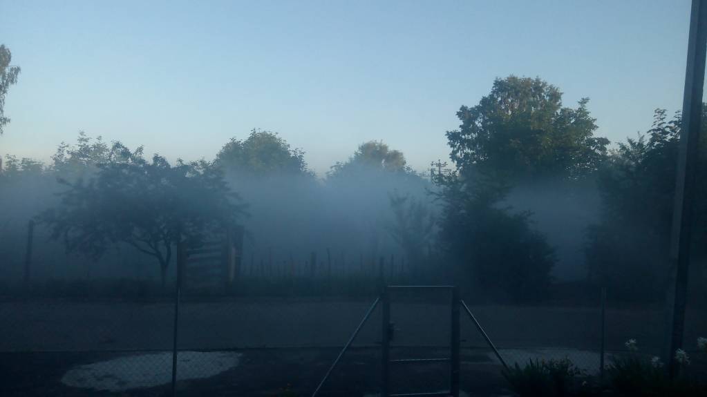 Каждая погода - благодать... - IMG_20170704_061827.jpg