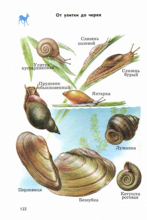 Маме в копилку  - 04.jpg