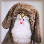 Аватар, аватар, аватар.... - image_12709160105391860928.jpg