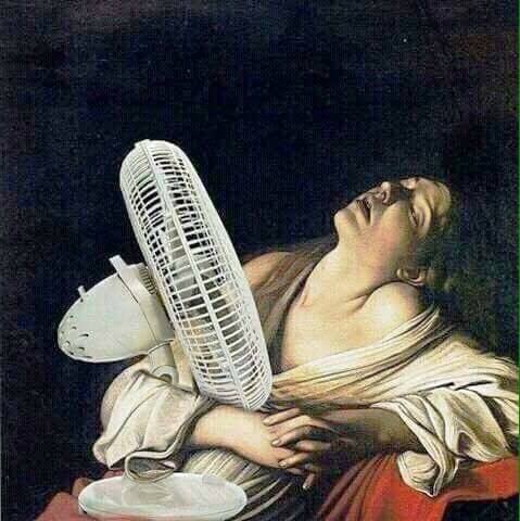 Каждая погода - благодать... - 20479483_10155603440724025_3671829920577715944_n.jpg