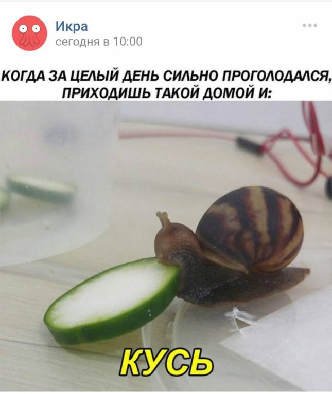 Правда жизни - _20170823_233322.JPG