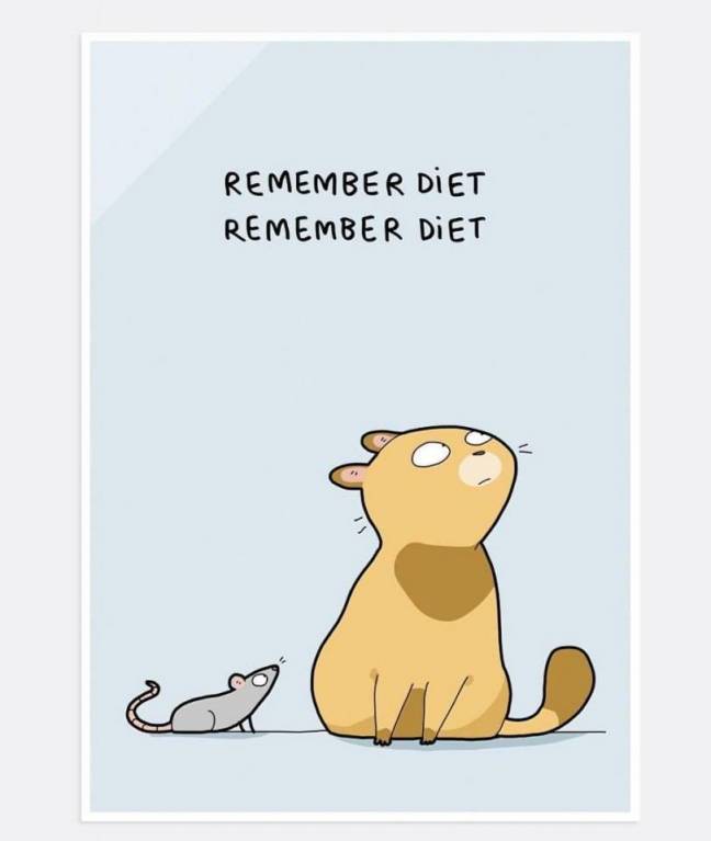 Тема про вес, аппетит и здоровье - 22228080_358419674580046_7403998658913303265_n.jpg