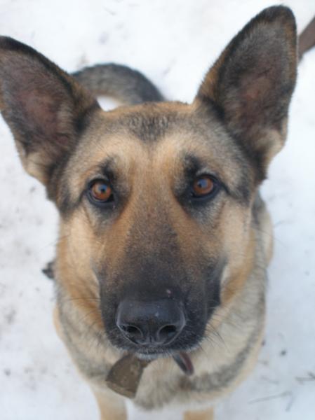 это моя Найдочка - PC190386.JPG