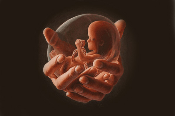 Святоотеческое слово о СЕМЬЕ - 1300363876_595.jpg