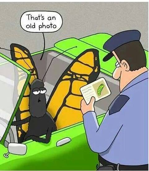 Автоюмор - 24232659_379515069137173_5751332427309999057_n.jpg