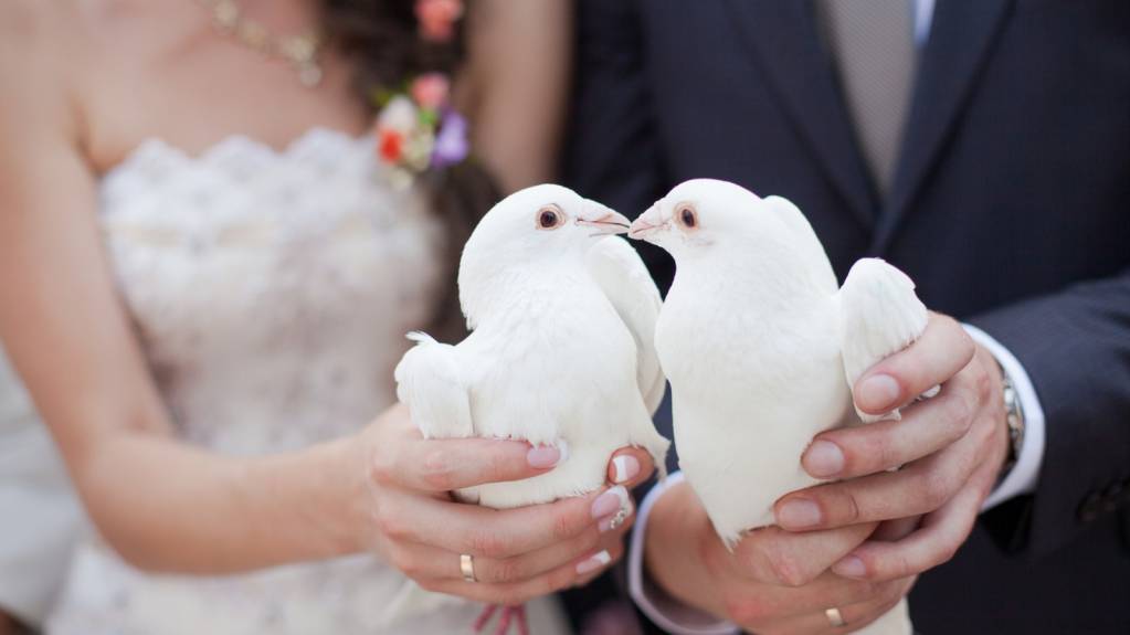 Назидательные истории и притчи - sovremennye-svadebnye-tradicii-sledovat-ili-vozderzhatsya_logo.jpg