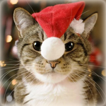 Аватар, аватар, аватар.... - image_12512170114189404817.jpg