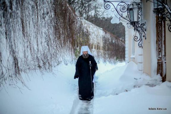 Подорожник - h-12661.jpg