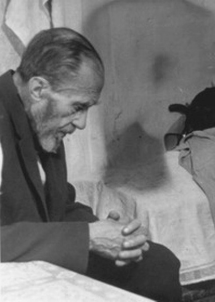 Подорожник - 1.jpg