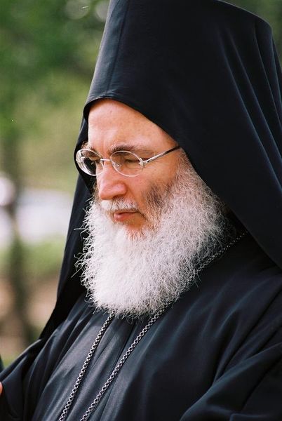 Подорожник - F1030031.jpg