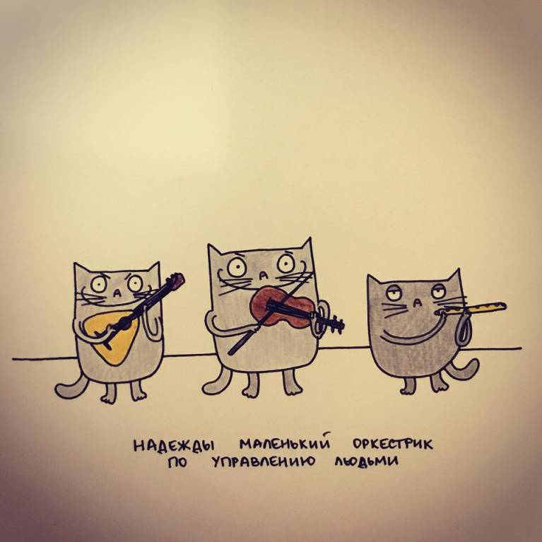 Рога и копыта, весёлая ЗоОфЛуДиЛьНя - 26730776_1538045759635664_5421287871354522578_n.jpg