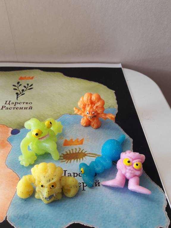 Семейное образование - 20180119_093904.jpg