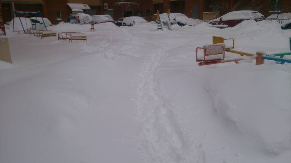 Каждая погода - благодать... - DSC_2949.JPG