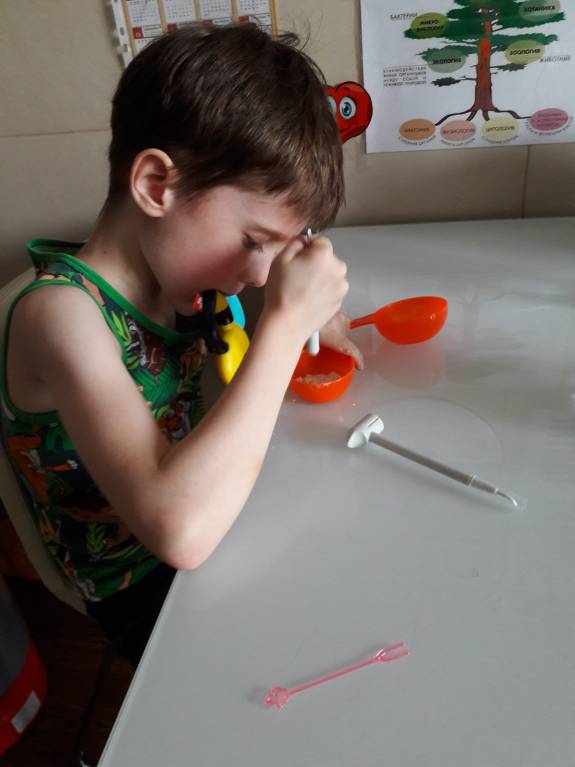 Семейное образование - 20180205_142531.jpg