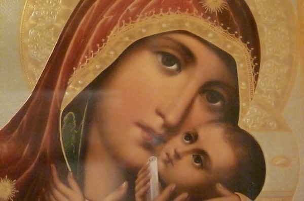 Подорожник - i-13774.jpg