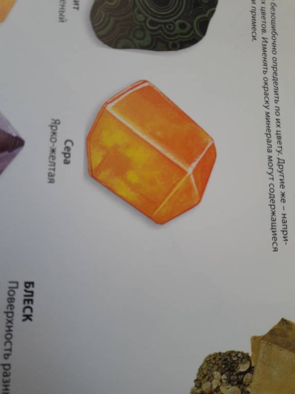 Семейное образование - 20180312_131401.jpg