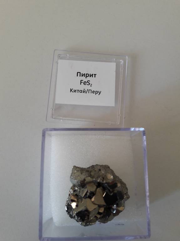 Семейное образование - 20180312_131146.jpg